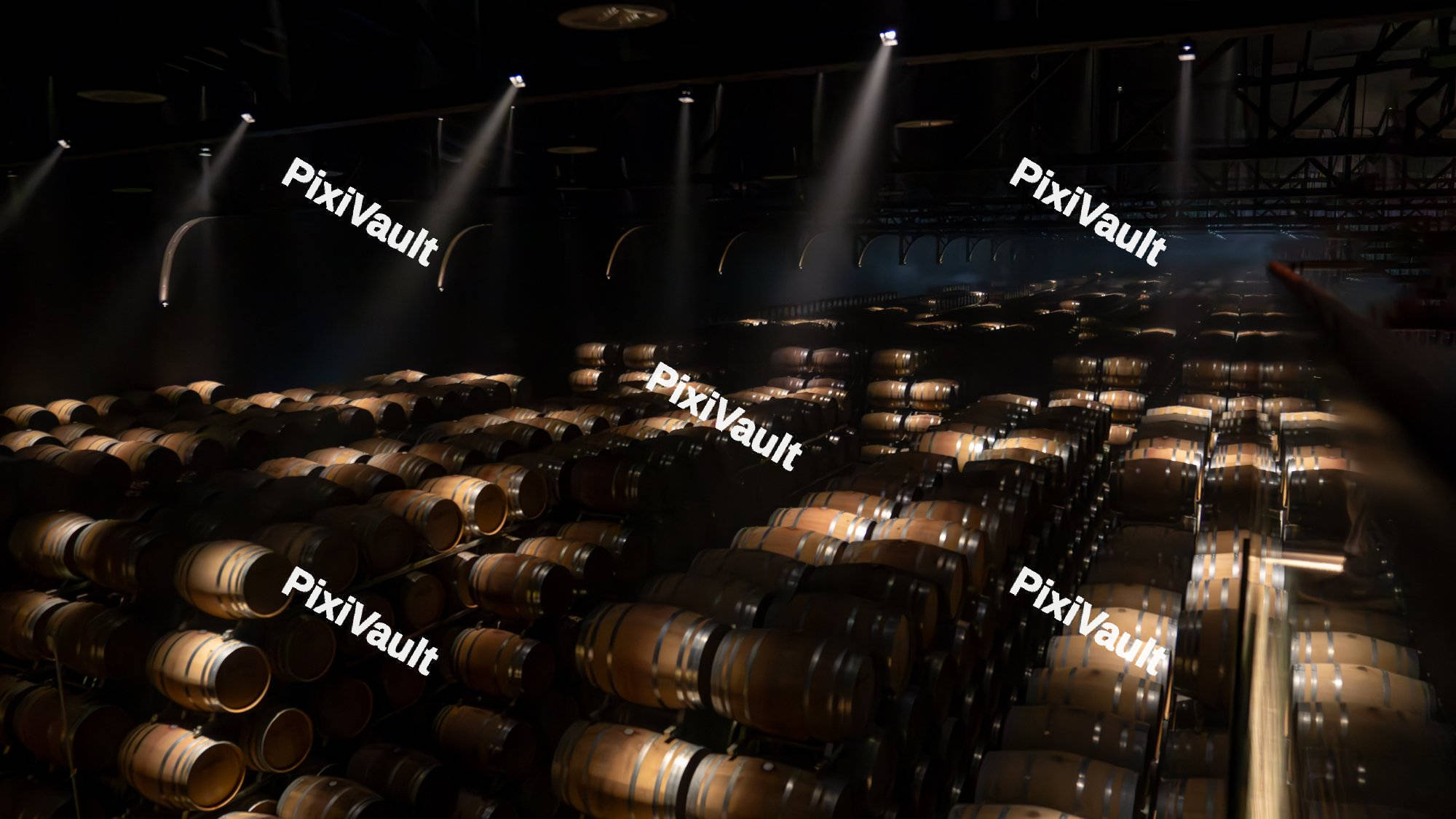 Oak barrels in the wine cellar